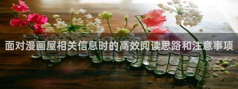 51漫画网