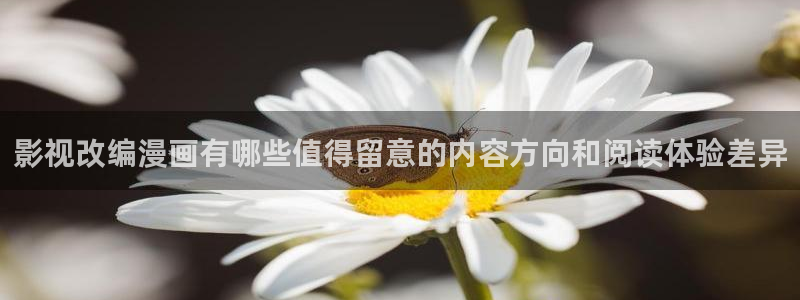 51漫画免费漫画网站